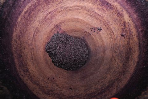 Inside Foradori amphora