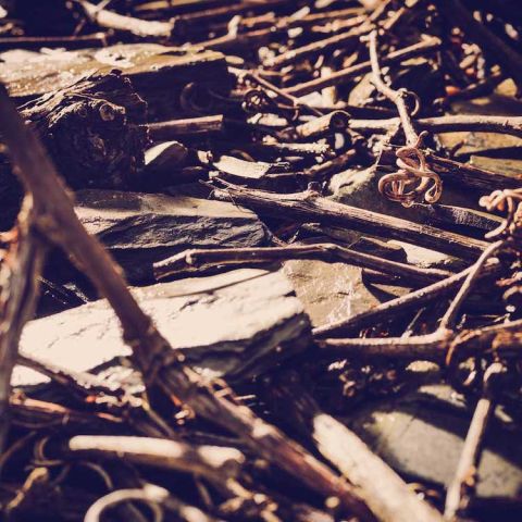 Fritz Haag - Brauneberger Devon slate