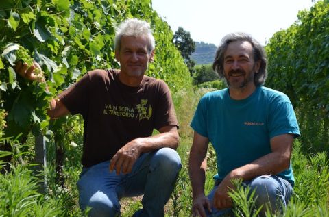 Gaetano and Pio Francesco Tamellini