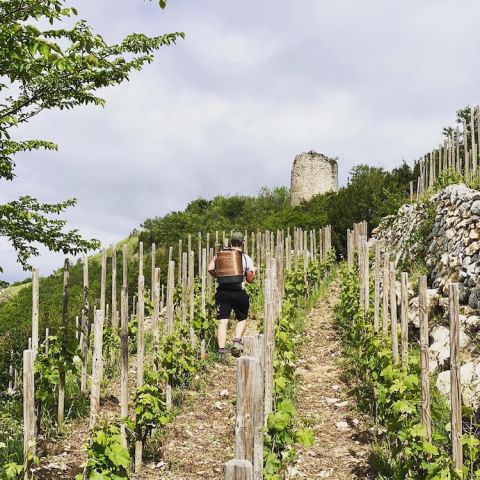 Dom Lombard and tower