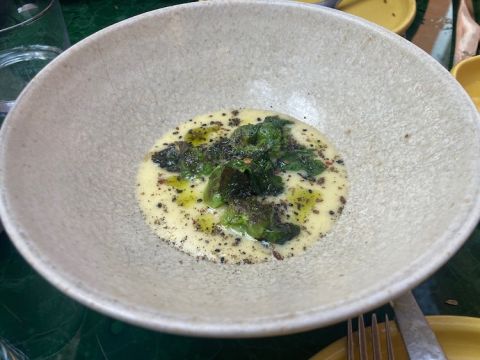 Alexander buds at Native