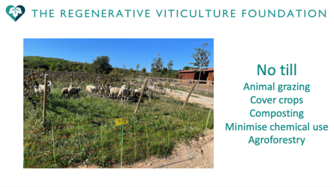 RVF basic principles