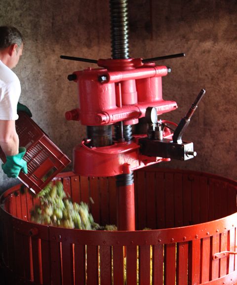 Clos de la Meslerie - the old restored press
