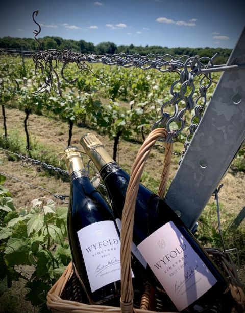 WWC22 Clark - Wyfold wines