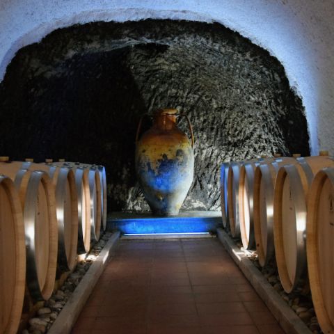 Fucci barrel cellar