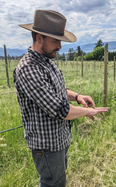Viticulturalist at Tantalus Vineyards, Felix Egerer