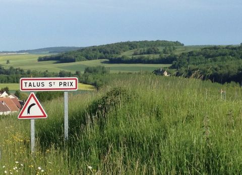 Talus St-Prix sign and vines