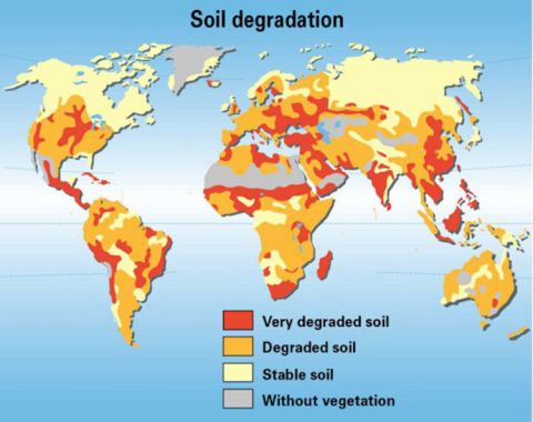 Map of Soil Degradation