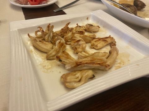 Sea cucumbers - very tasty!