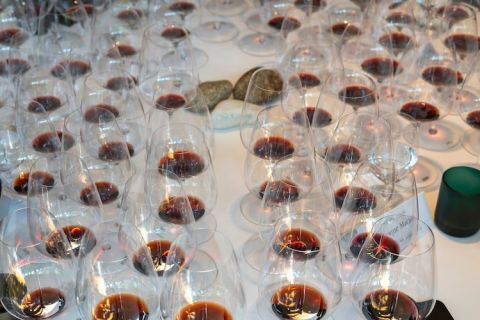 Glasses of Vega Sicilia