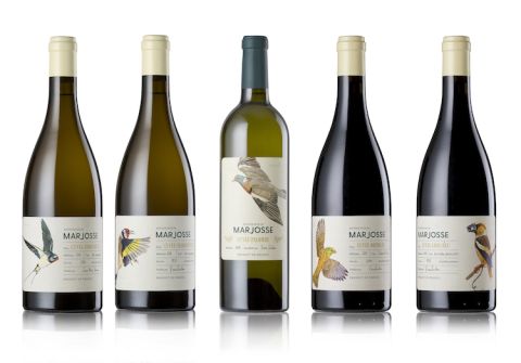 Anthologie de Marjosse bird series