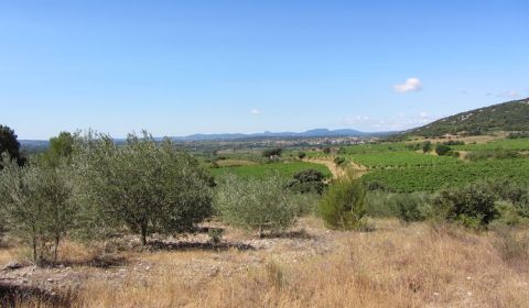 Terrasses du Larzac