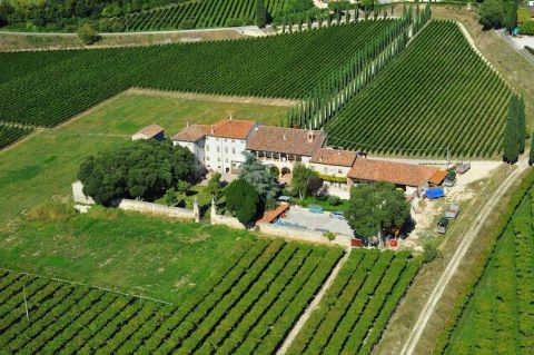 Marion villa and vineyards, Valpolicella