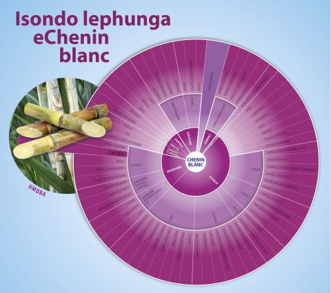 Chenin Blanc when in isiZulu