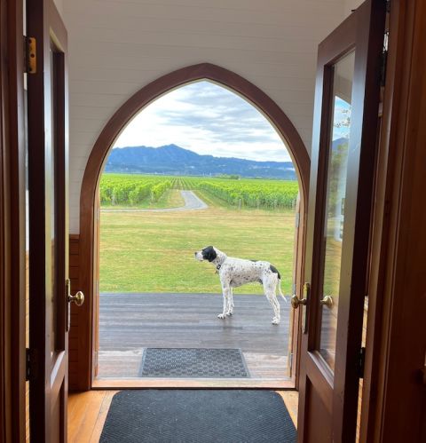 Clos Henri and winery hound