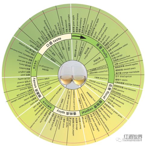A wine aroma and flavour wheel with English descriptors translated into Mandarin