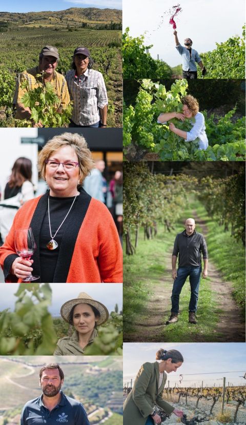 Old Vine hero shortlisted nominees