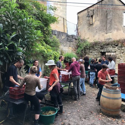 Ormiale troop destemming