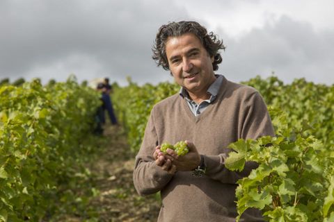 Patrick Jolivet holding grapes in a vineyard