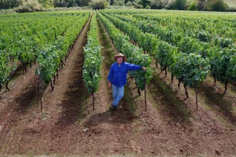 John Thomas in vines