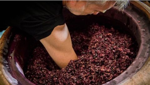 Fred Niger and amphora