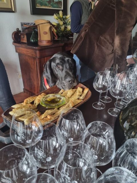 Dog steals a biscuit chez Hamilton Russell