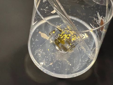 Pumpkin-seed oil gin with a pumpkin-seed ice cube