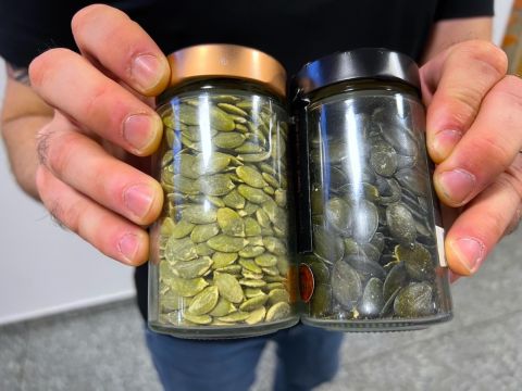 Pumpkin oil seeds - grown in China on the left, Slovenia on the right