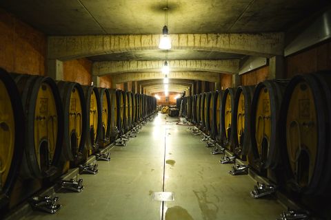  The Slavonian oak barrels which hold proportions of the wine blends on lees for anything up to five years 