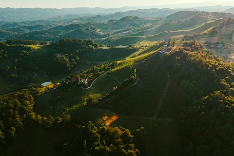 The Tement and Ciringa vineyards, Austris and Slovenia in one gulp