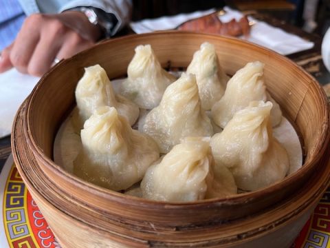 xiao long bao dumplings