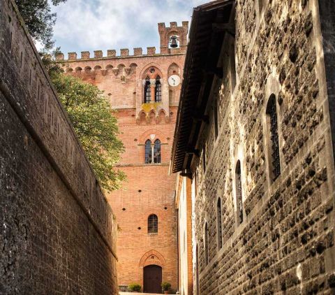 Castello di Brolio close up
