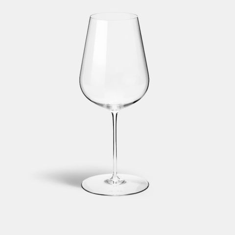 JR x RB all-purpose wine glass