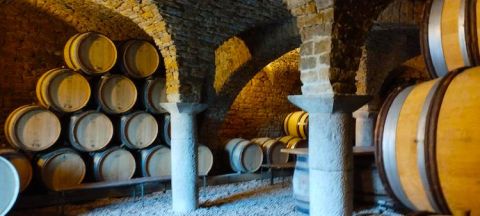 The Mouillard barrel cellar
