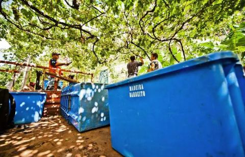 Harvest time on Madeira, photo by Leigh-Ann Beverley