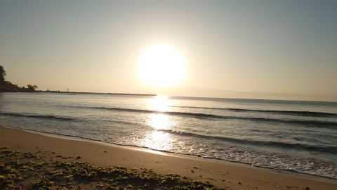Varna beach