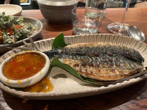 Kolae mackerel