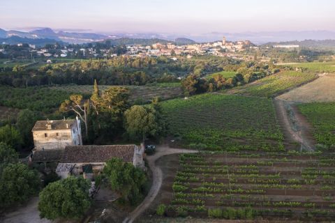 Falset and Mas d'en Cosme