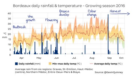 Bordeaux daily rainfall and temperature graph 2016