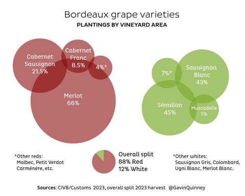 Bordeaux plantings by grape variety