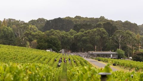 Tapanappa Winery in Australia's Adelaide Hills