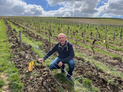 Cyrille Reverdy in Le Clos de Chaudenay