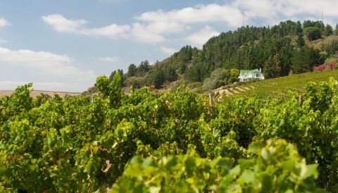 Jordan Wine Estate in South Africa