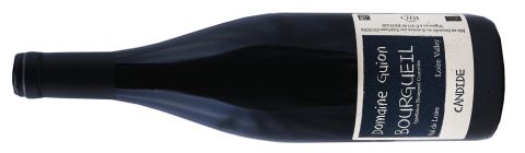 Guion Candide bottle