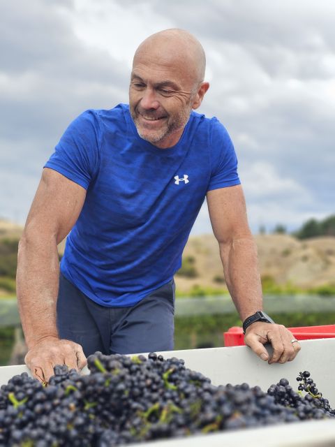 Happy Marlborough winemaker surveying just-harvested healthy Pinot Noir