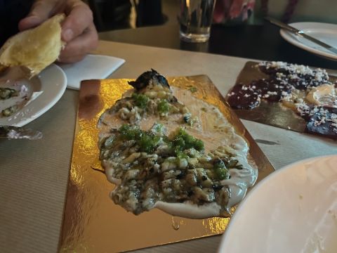 Lilienblum aubergine