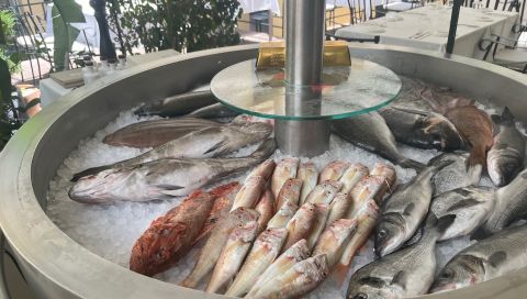 Corfu fish cabinet at Fishalida's Garden