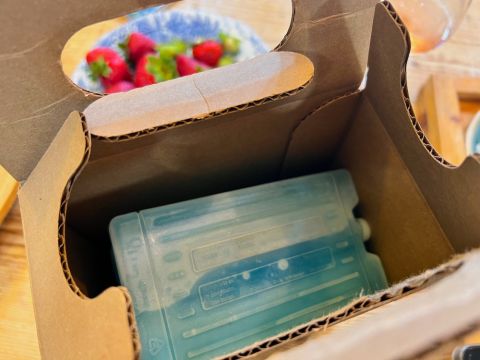 Ice bricks cooling the BiB rosé