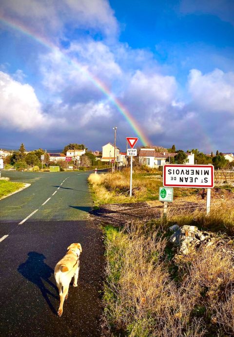 Samba and Saint Jean de Minervois under the rainbow
