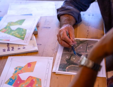 Mapping a Gamay vineyard